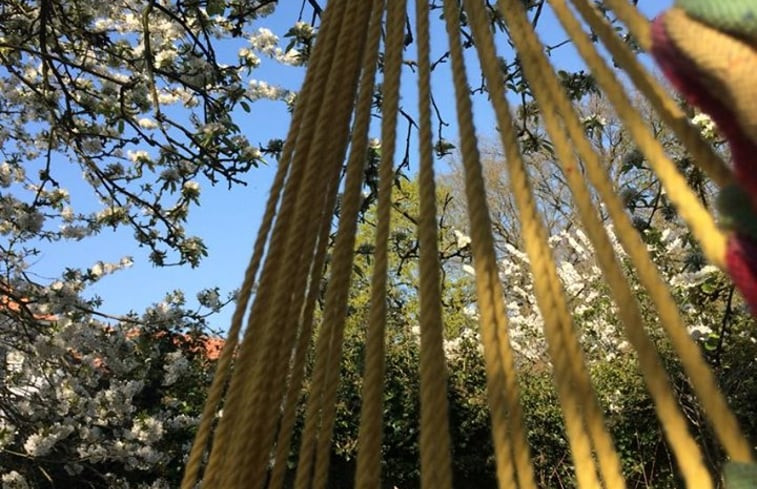 Natuurhuisje in Genk