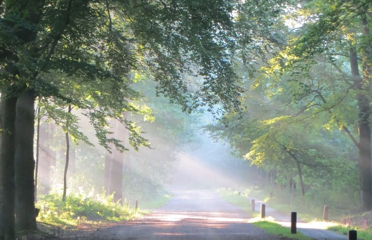 Natuurhuisje in Maarsbergen