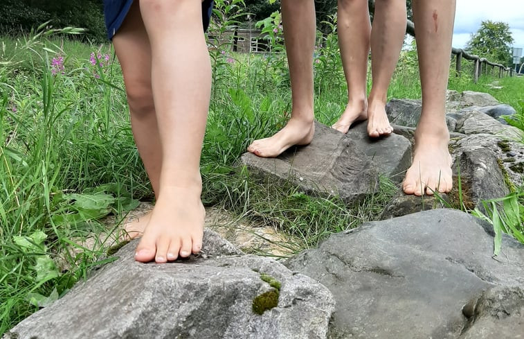 Natuurhuisje in Schoonloo