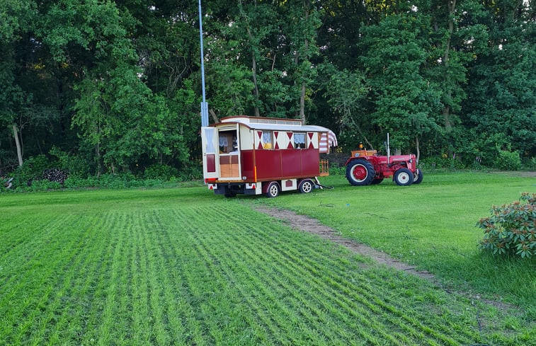 Natuurhuisje in Meerveld