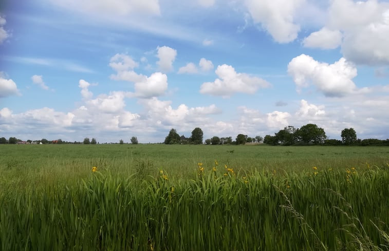 Natuurhuisje in Winsum