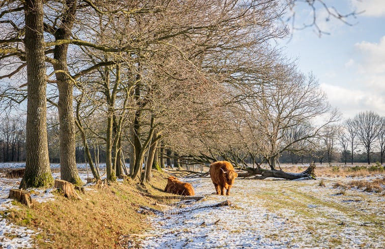 Natuurhuisje in Doldersum