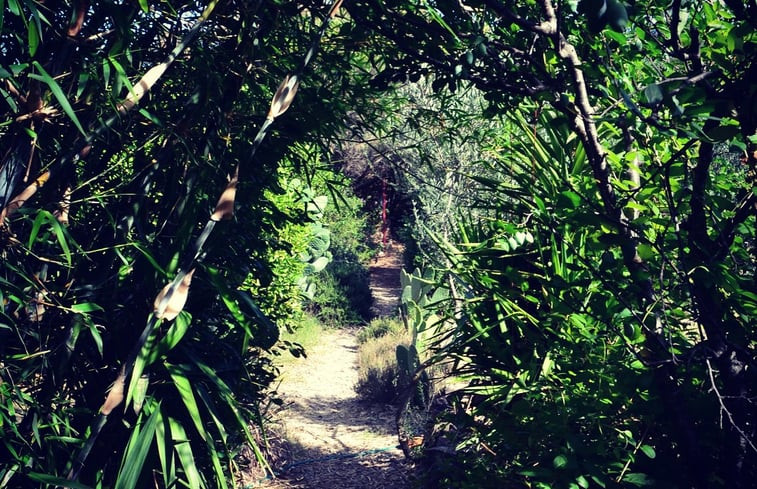 Natuurhuisje in Tavira