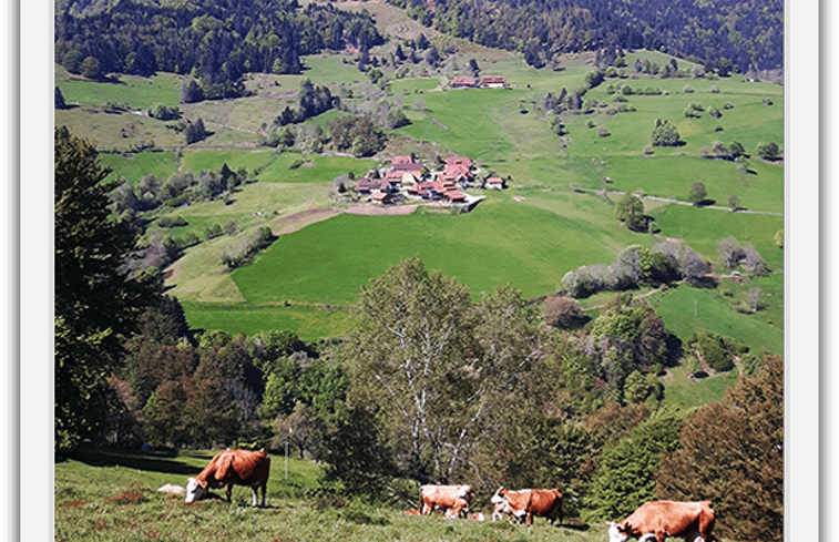 Natuurhuisje in Wieden