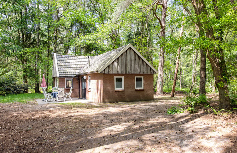 Natuurhuisje in de Lutte