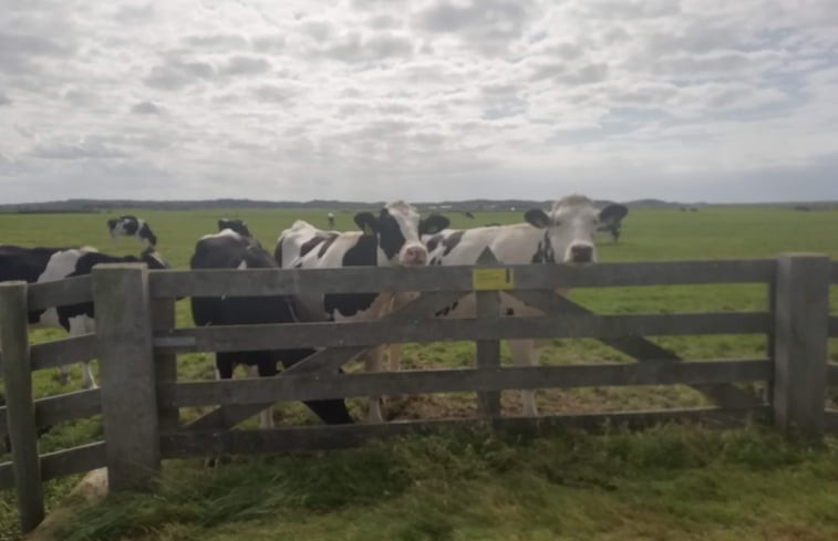 Natuurhuisje in Schoorl