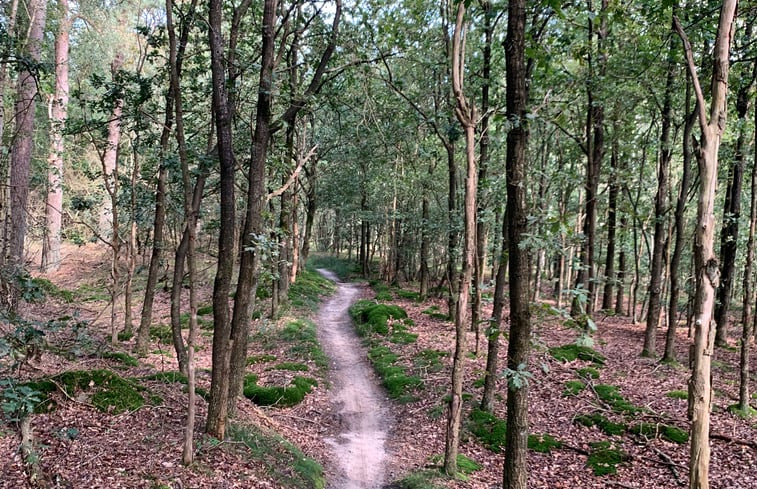 Natuurhuisje in Mariënberg