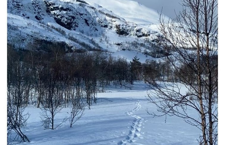 Natuurhuisje in Holsbru Årdal kommune