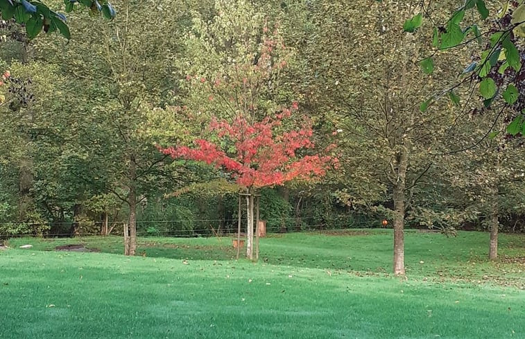 Natuurhuisje in La roche-en-ardenne