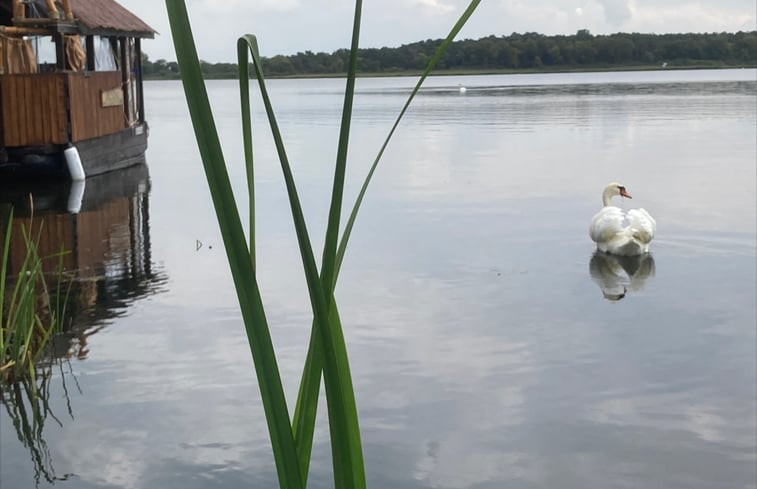 Natuurhuisje in Brandenburg an der Havel