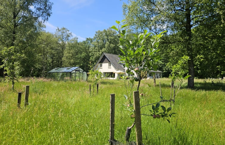 Natuurhuisje in Well