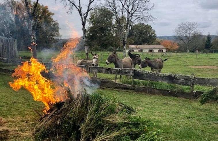 Natuurhuisje in Sainte Nathalene