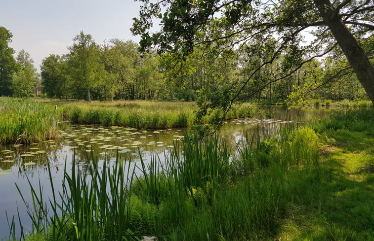 Natuurhuisje in Kortenhoef