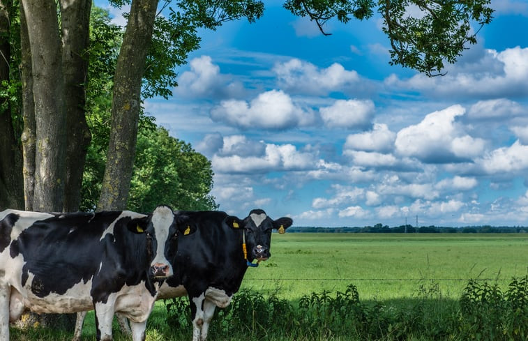 Natuurhuisje in Marle