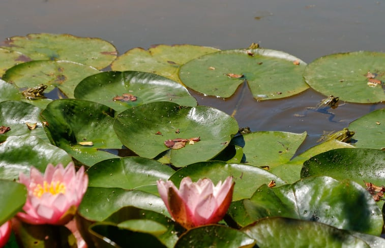 Natuurhuisje in Saint Plaisir