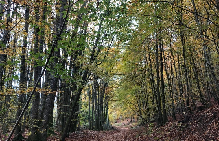 Natuurhuisje in Rothbach