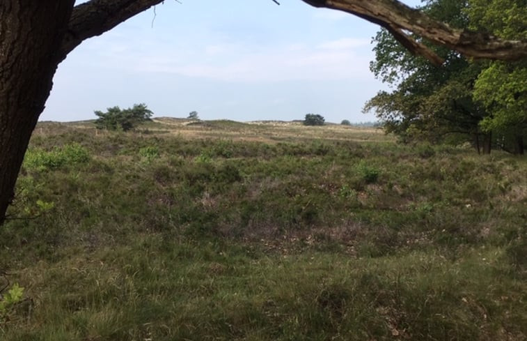 Natuurhuisje in Vierhouten