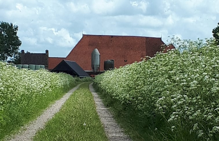 Natuurhuisje in Goingarijp