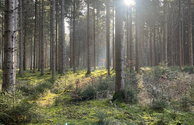 Natuurhuisje in Waal