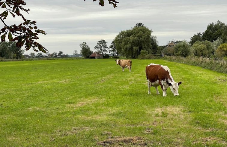 Natuurhuisje in Nieuwer Ter Aa