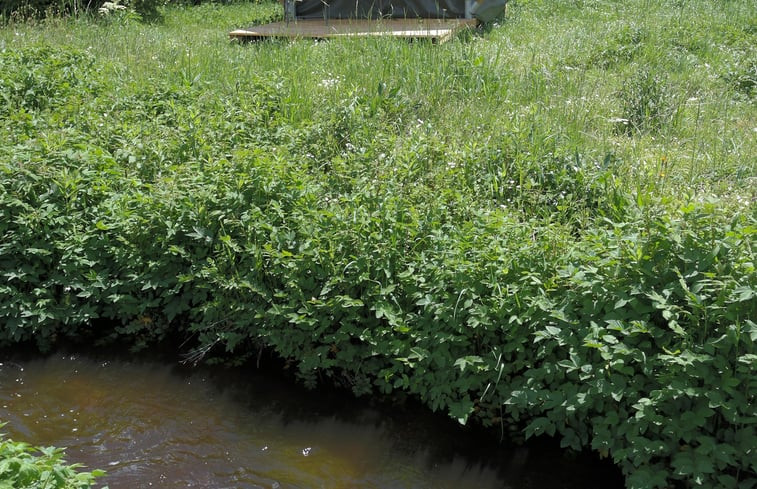 Natuurhuisje in Sain Bonnet le Chastel