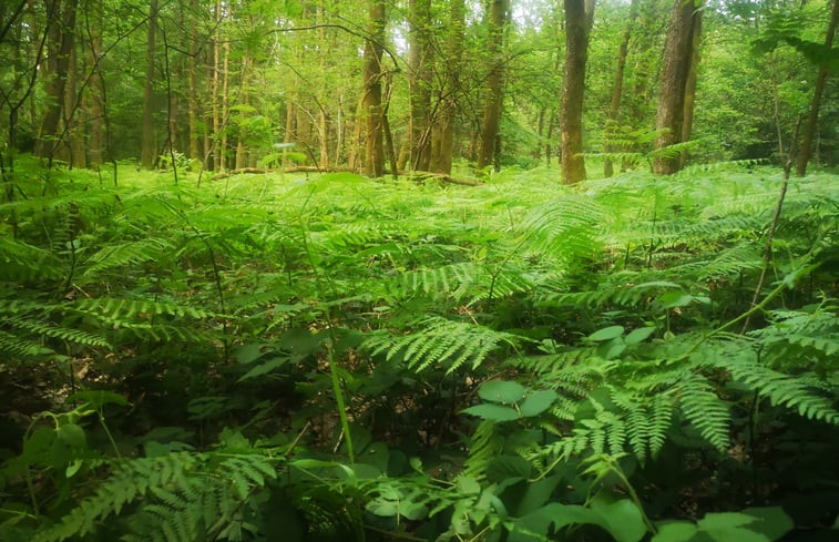 Natuurhuisje in Oignies en Thiérache