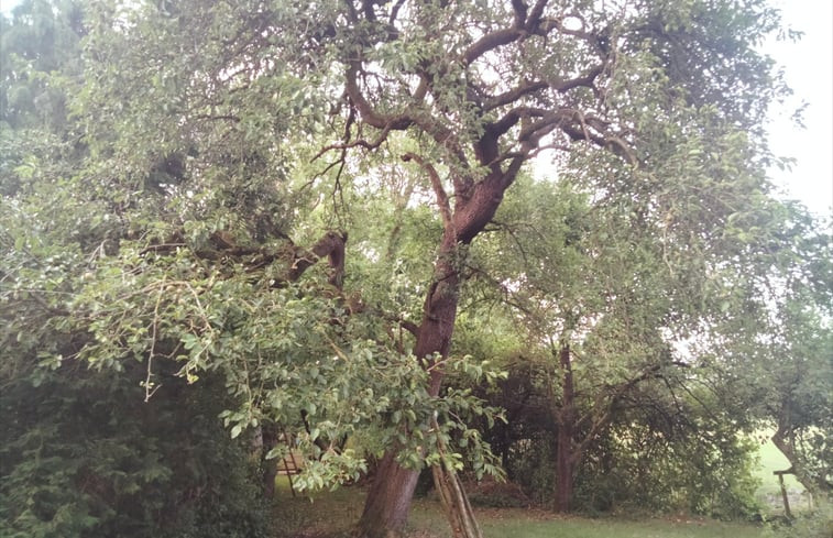 Natuurhuisje in Hoogkerk ( Groningen)