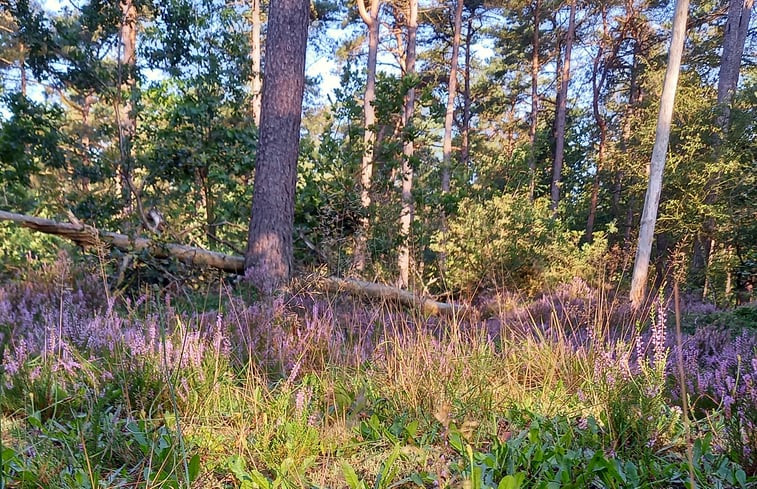 Natuurhuisje in Norg