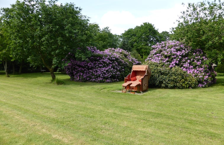 Natuurhuisje in Eext