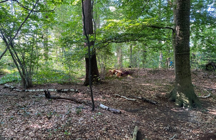 Natuurhuisje in Eefde