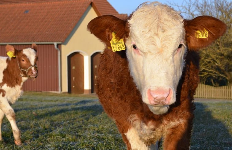 Natuurhuisje in Pilsach