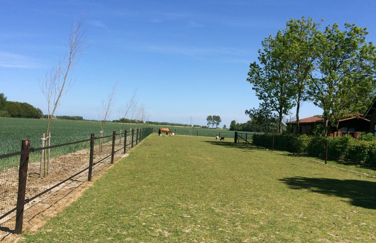 Natuurhuisje in Wissenkerke