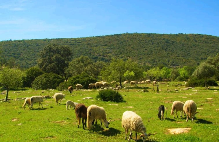 Natuurhuisje in Moncarapacho