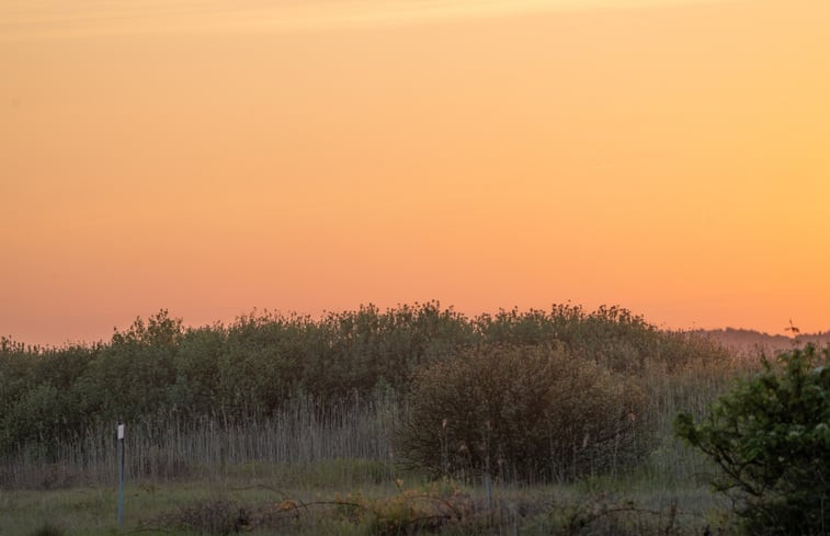 Natuurhuisje in Nes