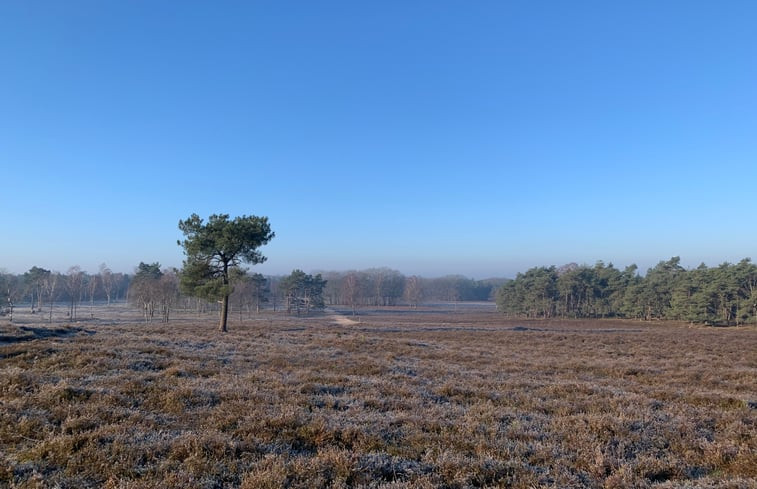 Natuurhuisje in Hattemerbroek