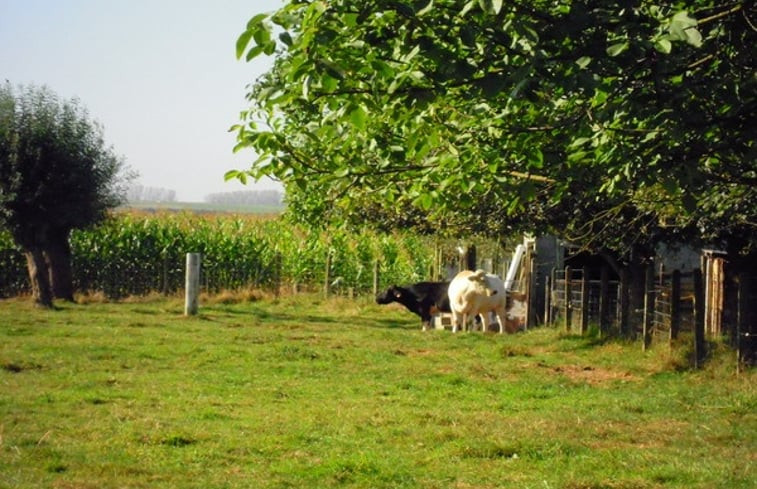 Natuurhuisje in Roosdaal