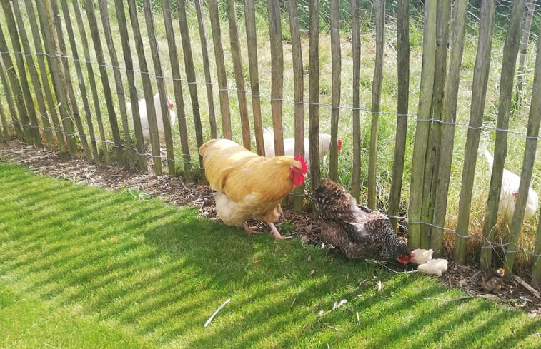 Natuurhuisje in Ingooigem/Anzegem