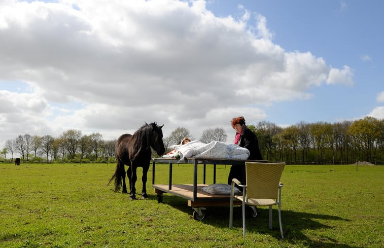 Natuurhuisje in Balkbrug