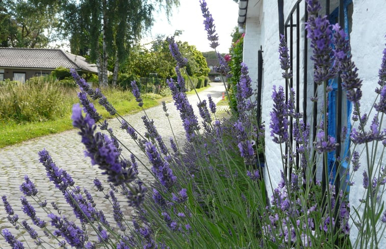 Natuurhuisje in Ronse