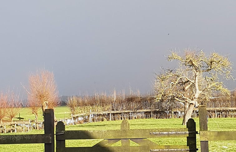 Natuurhuisje in Langbroek