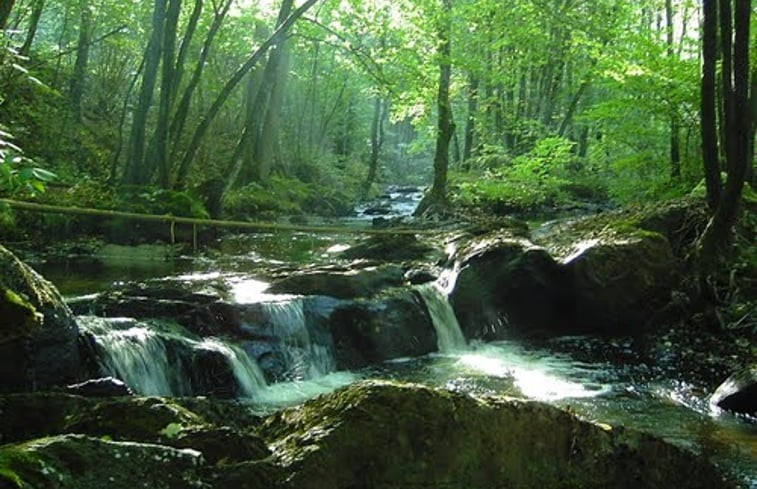 Natuurhuisje in Willerzie