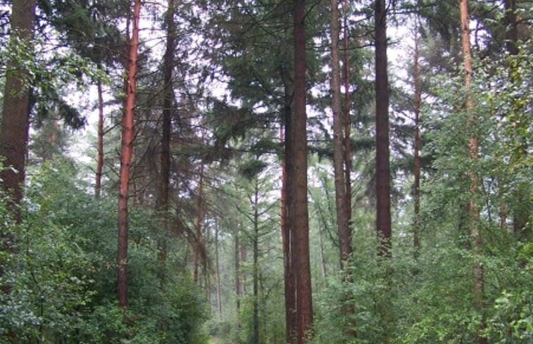 Natuurhuisje in Schoonloo