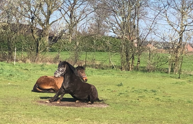 Natuurhuisje in Wilbertoord