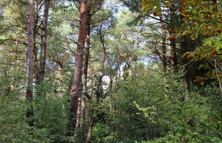 Natuurhuisje in Stegeren