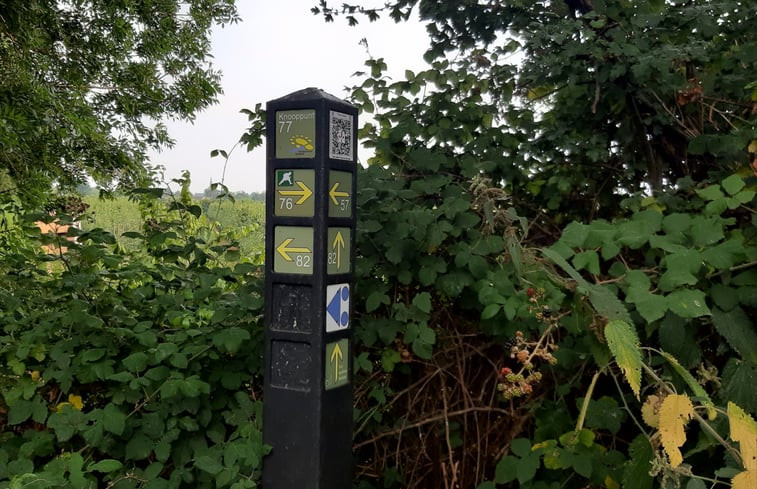 Natuurhuisje in Oudelande