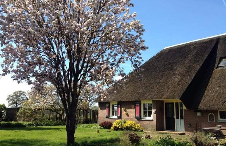 Natuurhuisje in Lettele