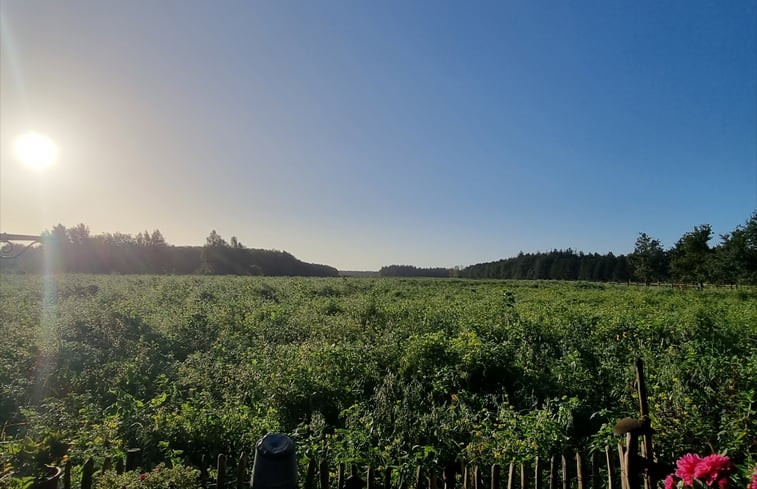 Natuurhuisje in Eesergroen