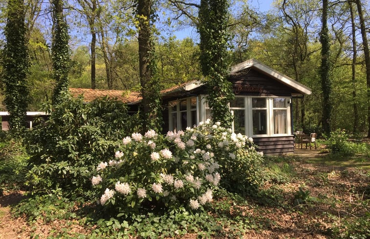 Natuurhuisje in Haaksbergen