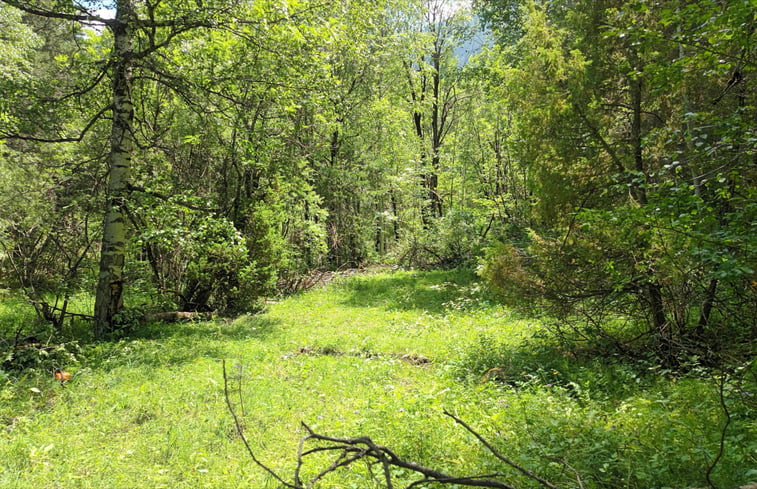 Natuurhuisje in Terre Rouge - Cervieres