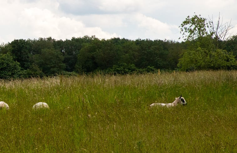 Natuurhuisje in Eext